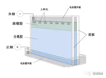 品牌心智图谱：打开市场认知的新维度