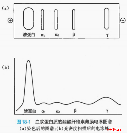 圈层渗透资产：投资新风口，打造财富增长引擎